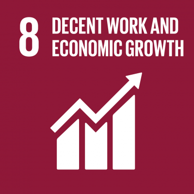 UNSDG 8